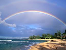 Morgellons - New Year, Newbie = The New You!
