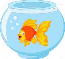 Cheryl