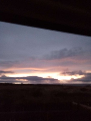 Morgellons - A ROOM WITH A VIEW