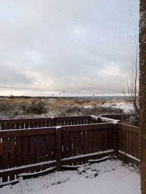 Morgellons - A wee bit of snow in Scottland, Chrissies back yard