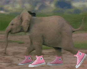 Morgellons - Donna, Lend Robin your sneakers!