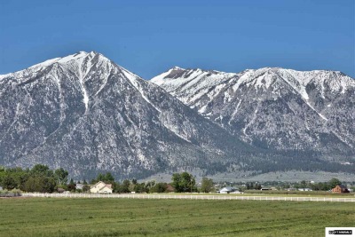 Morgellons - CLICK ON THE MOUNTAINS,  IF YOU WISH TO HAVE COACHING