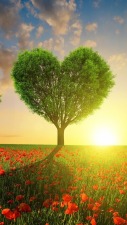 Morgellons - Love & Prayers for Chrissie, On the Loss of Her Mum