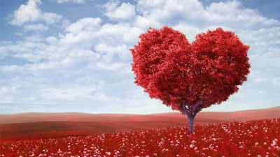 Morgellons - Click on the heart if you wish to show me some love