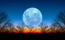 Morgellons - Inquiring Minds Want to Know - Parasite Activity During the Full Moon