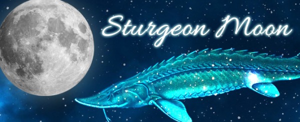 Morgellons - Another Full Moon