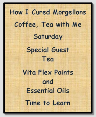 Morgellons - Memories
