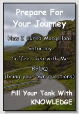 Morgellons - SPECAIL MEETING THIS MORNING!