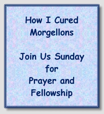 Morgellons -  Time 11AM CentraL> Number> 712-775- 8962 Code> 664059