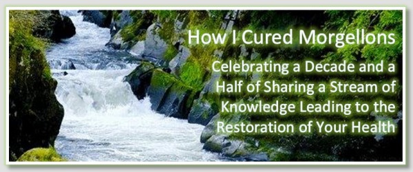 Morgellons - Major Changes