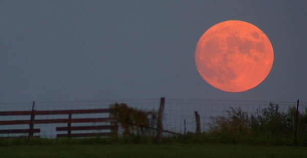 Morgellons - this is the color of the Moon, I saw last night!