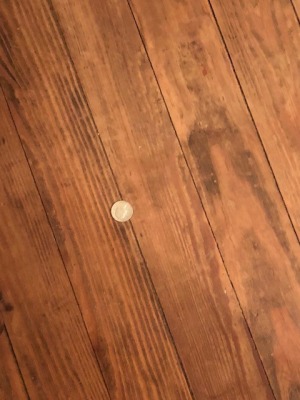 Morgellons - Pennies from Heaven