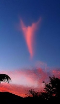 Morgellons - I HAVE SENT AN ANGEL IN TRAINING  TO HELP YOU, BUT SHE'S RUNNING LATE