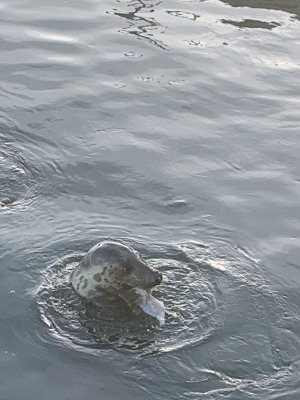 Morgellons - IS THAT A FISH IN HER MOUTH ?