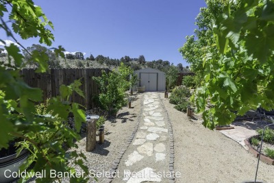 Morgellons - From office out to backyard