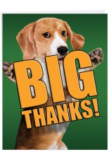 Morgellons - New Here