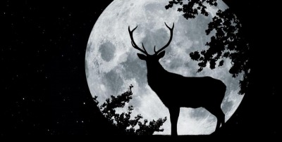 Morgellons - Another Full Moon