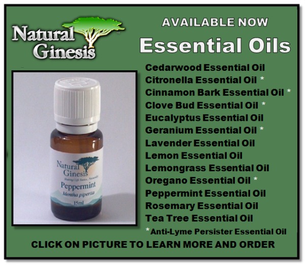 Essential Oils from Natural Ginesis