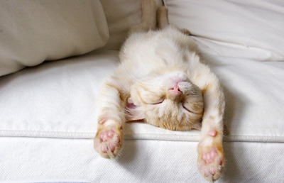 Morgellons - National Nap Day!