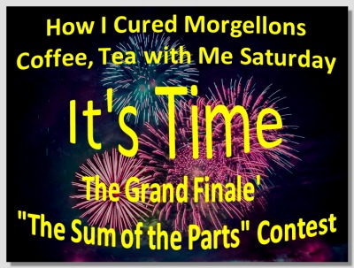 Morgellons - Memories