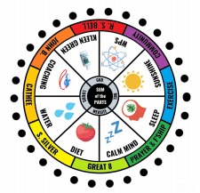 Morgellons - SUM of the PARTS Diagram