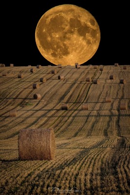 Morgellons -  The full moon; A monthly report by the Lovely Jennifer