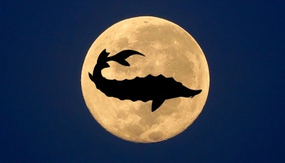 Morgellons -  The full moon; A monthly report by the Lovely Jennifer
