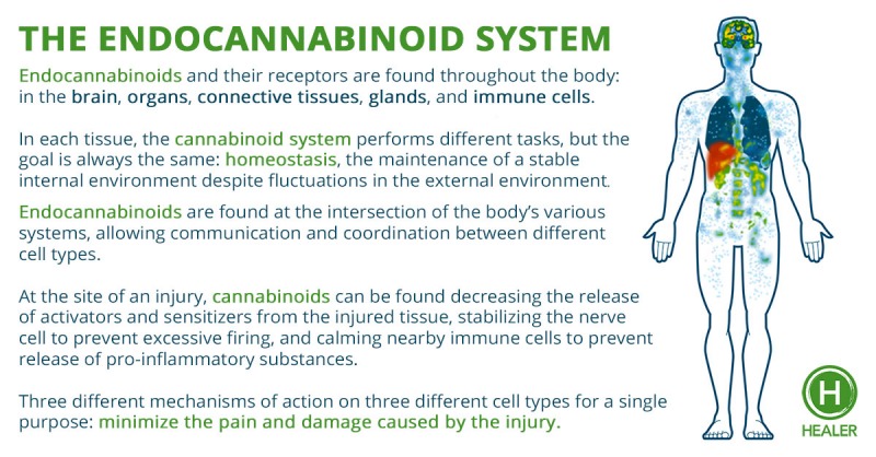 Morgellons - Saturday's conference call on CBD oil