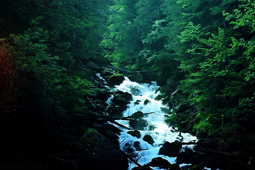 Morgellons - A flowing stream of knowledge