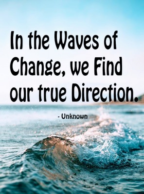 Morgellons - Update and the Latest Changes for the Website from the Mel Man