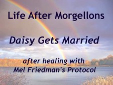 Morgellons - Toxic Disease Pioneer Presents - New Stories From Those Who Have Restored Their Health 