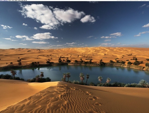 Morgellons - We are an osais in the desert, click the picture, read of hundreds whom restored their health