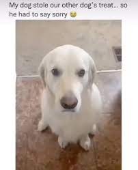 click to go back