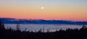 Morgellons - Who's outside your window?