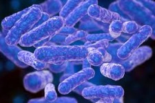 Morgellons - Bartonellosis: Cat Scratch Disease, Carrion’s Disease, Trench Fever, and Bartonella Endocarditis