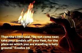 click to go back
