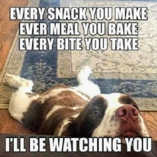 Morgellons - It's Mel the watch dog, says tighten up your DIET!