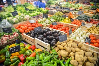 Morgellons - Net Carb Counts for Foods we Commonly Eat