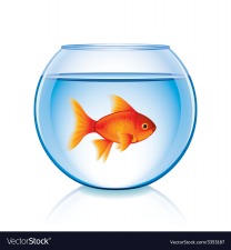 Morgellons - The Fish Lives ! ! ! 