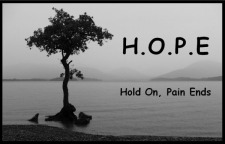 Morgellons - Herxheimer's reaction or AKA the healing crisis