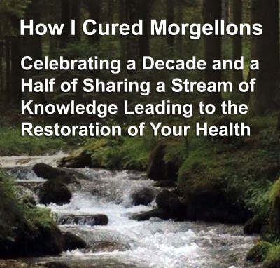 Morgellons - CLICK THE PICTURE; HELP ME HELP OTHERS