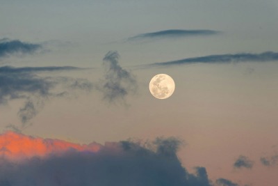 Morgellons - It's a fish-full moon update