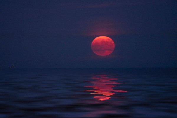 Morgellons - New info for Strawberry Moon