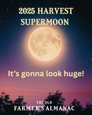 Morgellons - October full Harvest moon 10/6/25