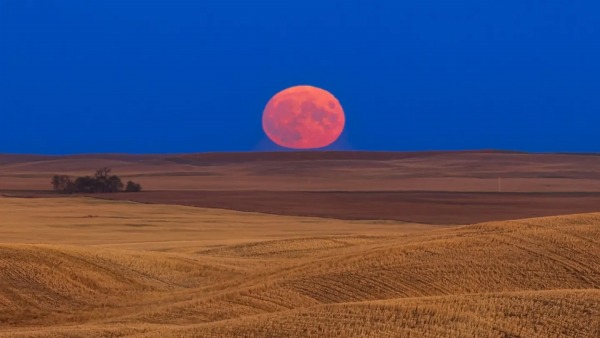 Morgellons - October full Harvest moon 10/6/25