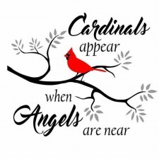 Morgellons - Sad News from Logos & our community