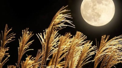 Morgellons - Another Full Moon