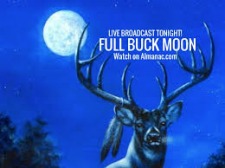 Morgellons - Behold the Buck Moon July 11th