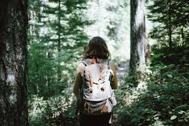 Morgellons - Out of the Forest / Into the light 