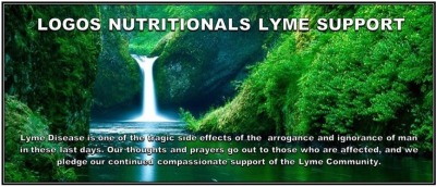 Morgellons - How to manage your nutritional protocol